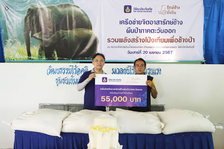 วิริยะประกันภัย รวมพลังจิตอาสาสร้างโป่งเทียม แหล่งอาหารช้างป่า ผืนป่าภาคตะวันออก