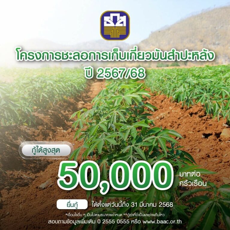 ธ.ก.ส. เดินหน้าโครงการชะลอเก็บเกี่ยวมันสำปะหลัง พร้อมขยายเวลาชำระหนี้ เพิ่มเงินทุนหมุนเวียนช่วยเหลือเกษตรกร