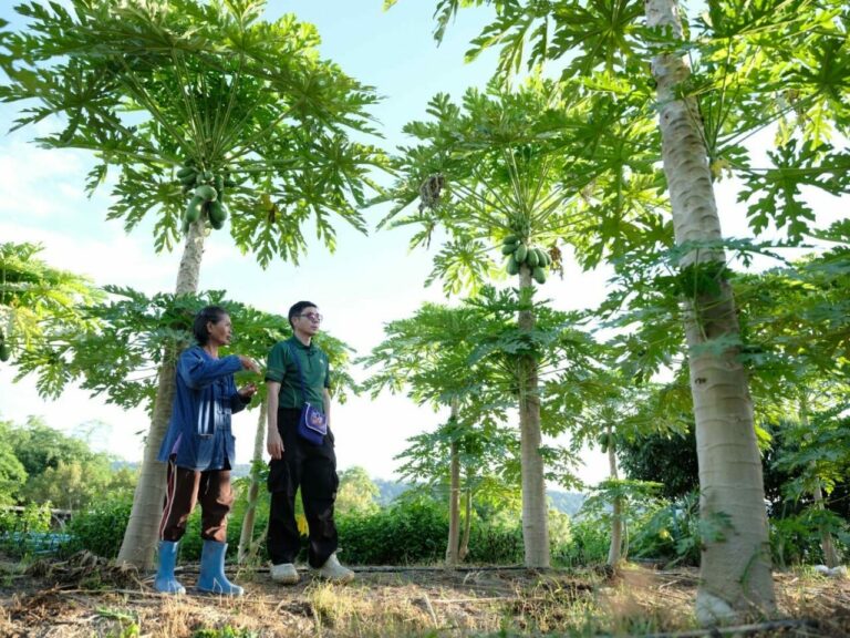 ผู้จัดการ ธ.ก.ส. เยี่ยมชมงานลูกค้าและเยี่ยมสาขาในพื้นที่ จ.สระแก้ว  