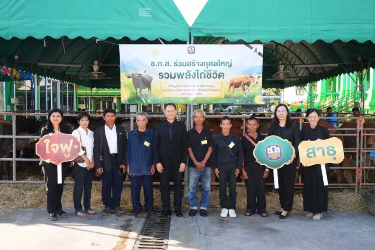 ธ.ก.ส. จัดกิจกรรมบุญใหญ่ส่งท้ายปีผ่านแคมเปญ “ไถ่ชีวิตโค–กระบือ” ชวนสมาชิก LINE OA BAAC Family คลิกร่วมบุญทะลุ 100,000 คลิกใน 14 วัน