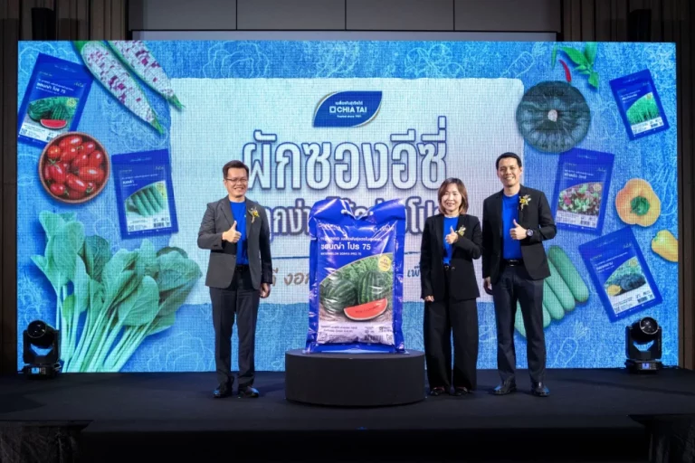 เจียไต๋ เปิดตัว “ผักซองอีซี่ ปลูกง่าย ได้อย่างโปร” ชูกลยุทธ์ใช้งานสะดวก โตดี งอกดี ด้วยคุณภาพเมล็ดพันธุ์เทียบเท่าระดับโปร